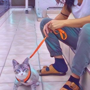 Meet your Posher, Ismael